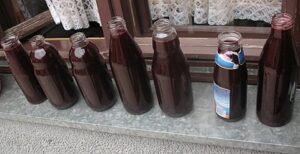 Read more about the article DOMAĆI SOK OD GROŽĐA