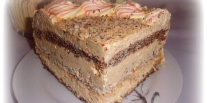 Read more about the article KAMELIJA-torta za sve prilike