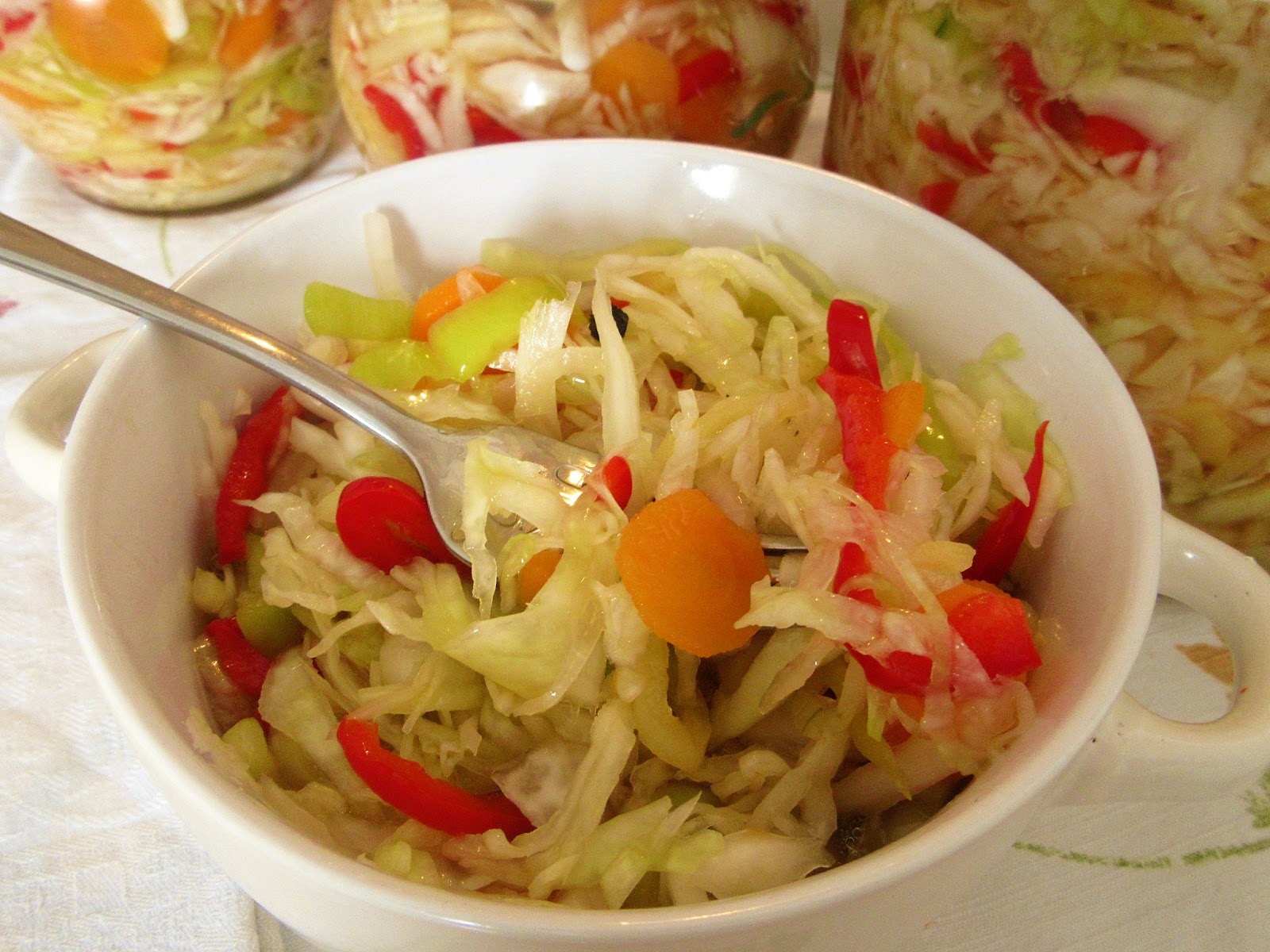 Read more about the article Miješana kisela salata